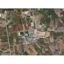 Immagine: Pietro Santamaria: «Contrada Martucci è un sito unico». Lettera aperta all’Assessore Nicastro