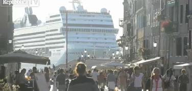 Venezia, 12 giganti del mare in 24 ore: e il Comitato Nograndinavi si butta a mare...