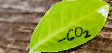 Certificati bianchi, aggiornata la sezione FAQ sul sito GSE