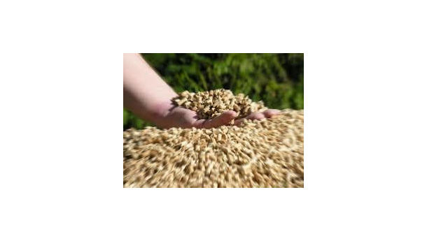 Immagine: Rinnovabili termiche, la guida di Mostra Convegno Expocomfort