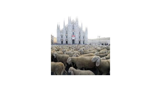 Immagine: Festival dell'Agricoltura. Milano svela la sua anima agricola / VIDEO