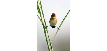 Legge di Stabilità 2014: il Ministero dell'Ambiente chiede 900 milioni di euro all'anno