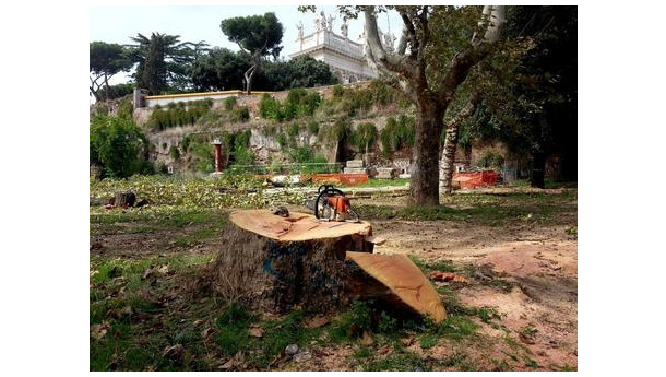 Immagine: Metro C, si ferma il taglio degli alberi. Ma per quanto?