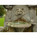 Immagine: Tour dei torèt, com'è andata la passeggiata? | Video e foto