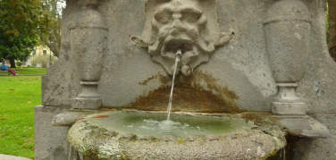 Tour dei torèt, com'è andata la passeggiata? | Video e foto