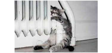 Riscaldamento. De Corato: fa freddo. Il Comune: 7 ore si può già accendere