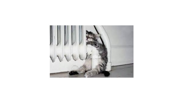 Immagine: Riscaldamento. De Corato: fa freddo. Il Comune: 7 ore si può già accendere