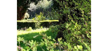 Ispra: aree verdi protette in aumento a Venezia, Roma in testa per parco veicolare