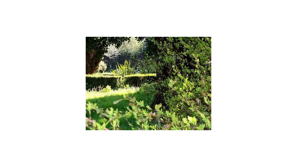 Immagine: Ispra: aree verdi protette in aumento a Venezia, Roma in testa per parco veicolare