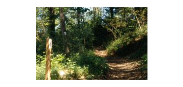 Restaurato l'Anello Verde, il percorso naturalistico sulla collina torinese