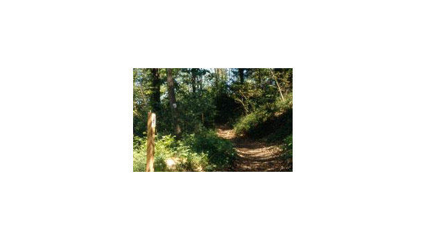 Immagine: Restaurato l'Anello Verde, il percorso naturalistico sulla collina torinese