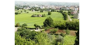 Trento in testa per aree verdi pubbliche, aumentano aree naturali protette ed uccelli alloctoni