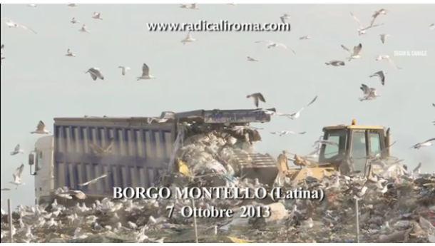 Immagine: Discariche Roma, Radicali: nel Lazio ancora sversati rifiuti non trattati