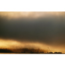 Immagine: Smog, Policlinico di Milano: 