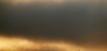 Smog, Policlinico di Milano: 