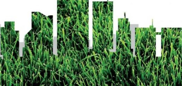 Green Capital Award 2016: tra le 12 candidate c'è Reggio Emilia