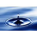 Immagine: Seconda giornata del “Water Future” di Torino