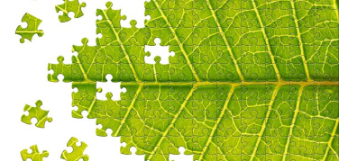 Green Economy, scontro sul disegno di legge fra Orlando e Zanonato