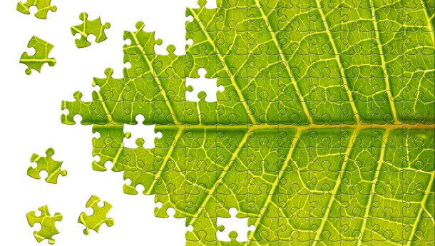 Immagine: Green Economy, scontro sul disegno di legge fra Orlando e Zanonato