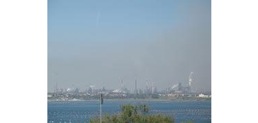 Ilva Taranto. Quaranta nasi addestrati dall'Arpa per monitorare la qualità dell'aria a Taranto