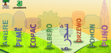 Festa dell'Albero 2013 con Legambiente