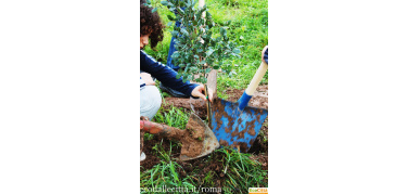 Verde, radici e inclusione: a Centocelle nasce il primo Parco Interculturale d'Italia | Foto