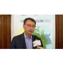 Immagine: Montalbetti, DG Comieco: il Consorzio resta un sistema sussidiario al libero mercato