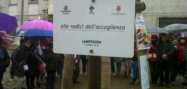 Festa dell’Albero 2013: centinaia gli alberi piantati in memoria del naufragio di Lampedusa