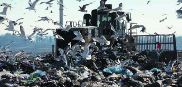 Ama, forse cittadini della Valle Galeria nel nuovo Cda