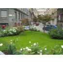 Immagine: Verde urbano: pronto un nuovo decalogo a Milano