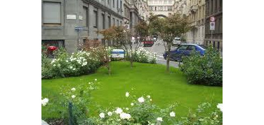 Verde urbano: pronto un nuovo decalogo a Milano