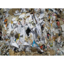 Immagine: Carta e cartone: come si passa dalla raccolta al riciclo? | Video