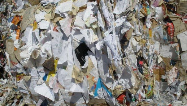 Immagine: Carta e cartone: come si passa dalla raccolta al riciclo? | Video