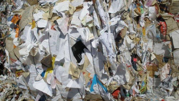 Immagine: Carta e cartone: come si passa dalla raccolta al riciclo? | Video