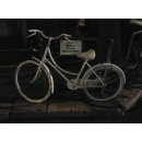 Immagine: Foggia, biciclette. Ancora morti e feriti sulle strade di Foggia. I Cicloamici: 