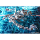 Immagine: Milano, saldi e blocco del traffico: la proposta di Codacons