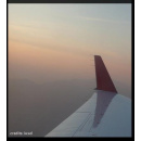 Immagine: Targhe alterne, l'Unione Nazionale consumatori invita a trovare 