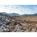 Immagine: Fare Verde Lazio: 