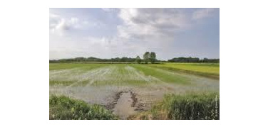 Sono 23 i distretti agricoli della Lombardia