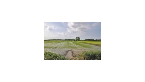 Immagine: Sono 23 i distretti agricoli della Lombardia