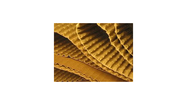 Immagine: Cartoniadi Comieco, ad Ercolano l'edizione della Campania