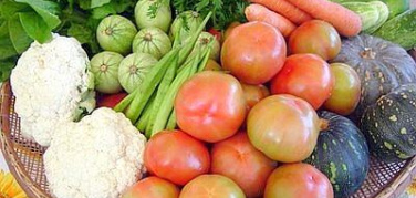 Puglia aderisce alla Carta 