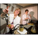 Immagine: Carburanti bio: c'è qualcuno in grado di certificarli?