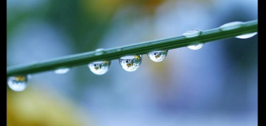 Acqua, il Forum lancia la campagna di primavera