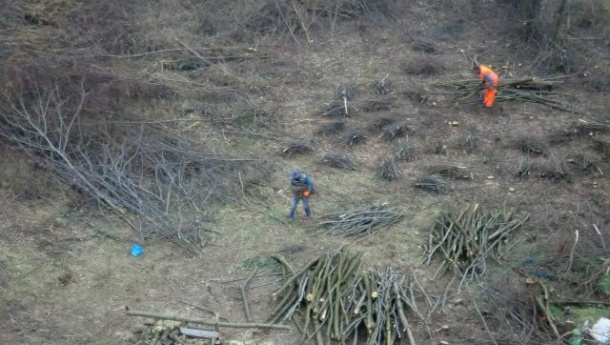 Immagine: Riceviamo e pubblichiamo: 