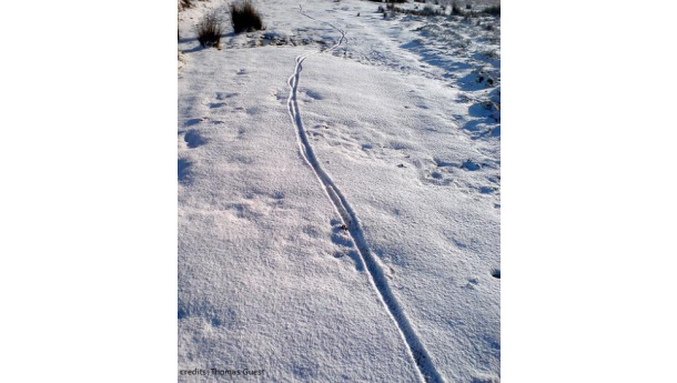 Immagine: Nevica: in Norvegia se prendi la bici, ti pagano le gomme