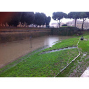 Immagine: Maltempo a Roma, città in tilt: il Sindaco convoca l'unità di Crisi