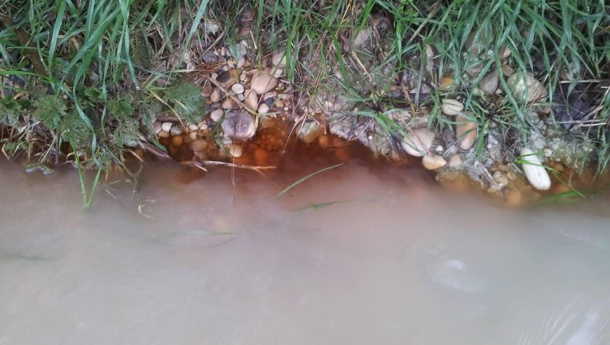 Immagine: Roma, il Rio Galeria porta a galla rifiuti pericolosi