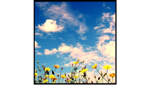 Immagine: Lo smog e gli italiani: dati e percezioni non coincidono