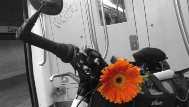 Immagine: Mobilità, Improta: